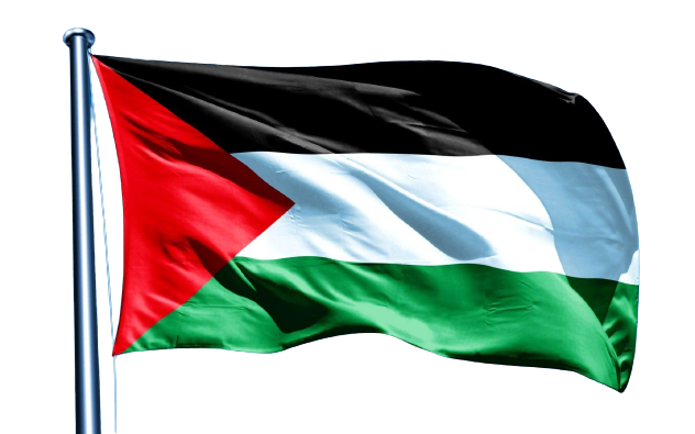 palestine flag